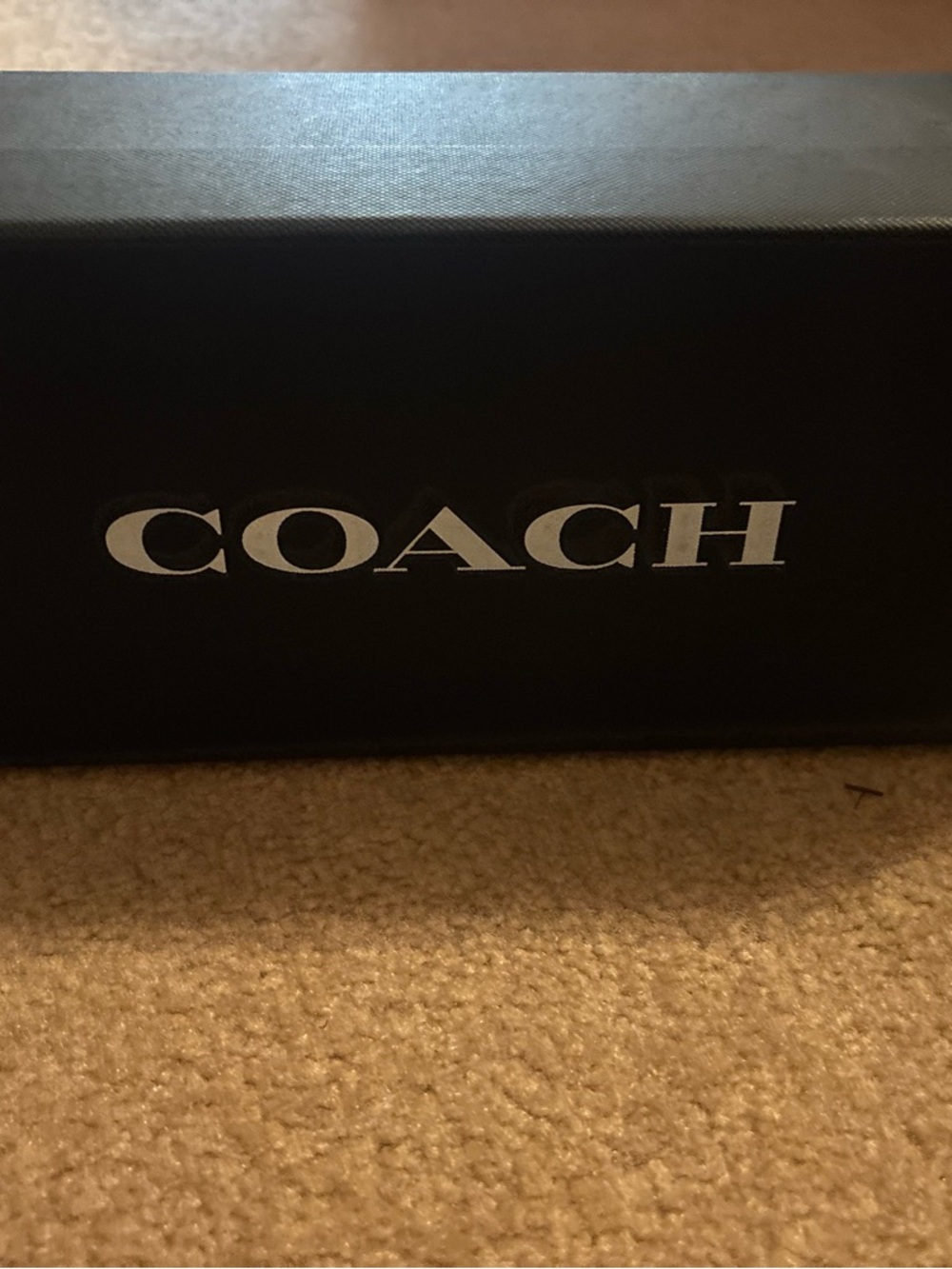 COACH Women's Silver Leather Heart-Accent Thong Sandals Ellis style FG2098 5.5B - Picture 5 of 6